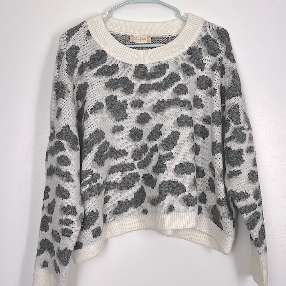 Altar’d State Cheetah Sweater, Size: Small